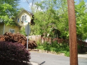 [Tree and House Damage from Straight Line Winds in Floyd County. ]