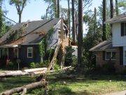 [ Tree and House Damage from EF-1 Tornado in Macon. ]