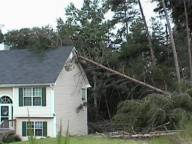 storm damage
