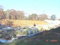 chicken house destroyed