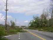[ Trees down on highway. ]