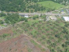 [ Aerial photo of bank damage in Fort Valley.  Note the fallen pecan tree orchard. ]