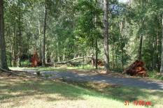 [ trees uprooted in Oconee County ]