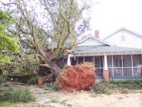 [ Large tree crashed into house in Taylor County ]