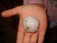 [ Hand holding large hailstone. ]