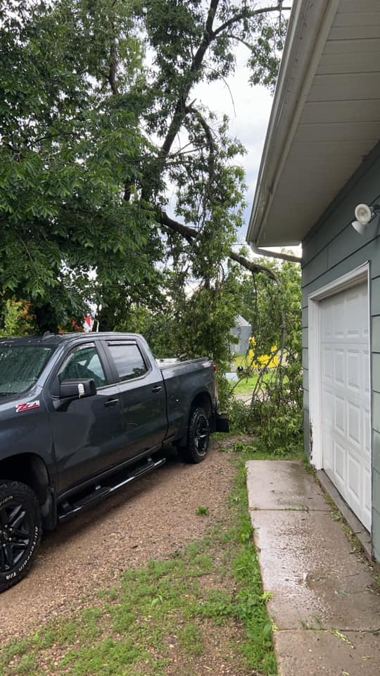 Tree Limbs down close to a house