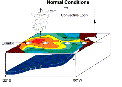 Image showing normal atmospheric and oceanic circulations.