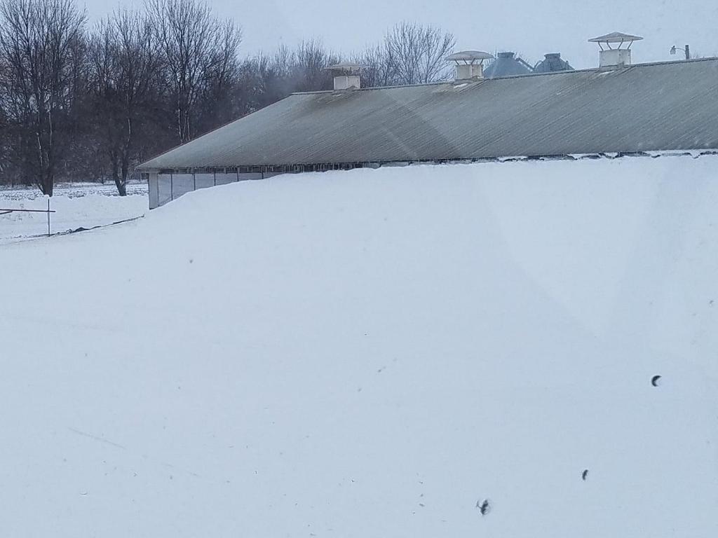 Snow drift against hog barn south of Rock Rapids Iowa