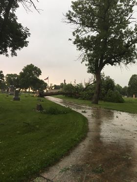 Downed tree at Riverside Cemetery in Spencer, IA. Photo courtesy of Leeann Rosales.
