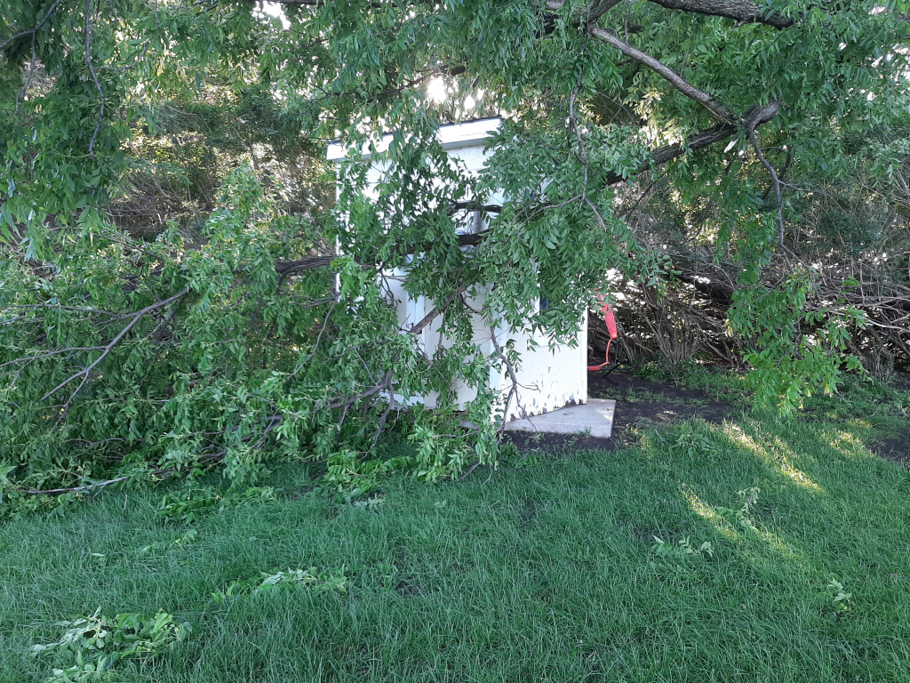 Tree damage and garden shed moved on cement slab near Woodstock