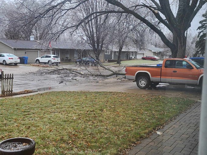 Photo of branch down in Le Mars Iowa