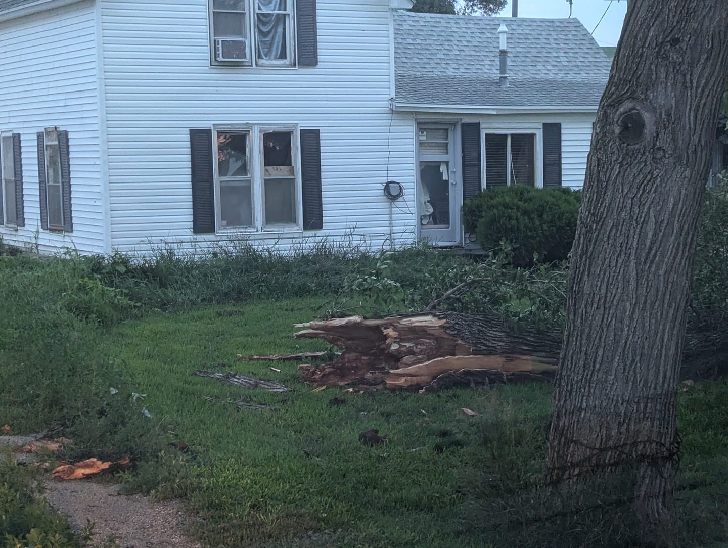 Photo of tree damage in Ponca, Nebraska