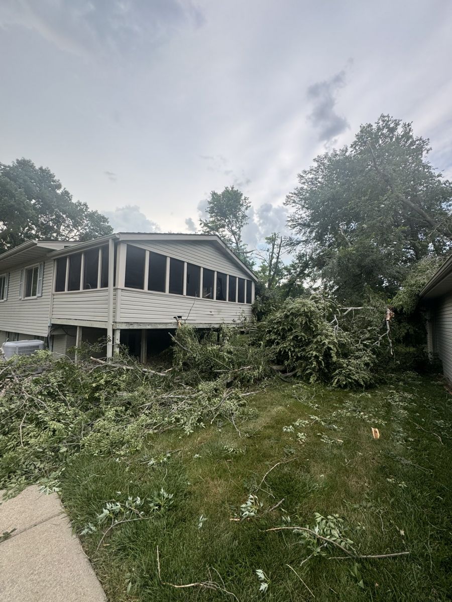 Photo of a large tree which fell between a house and garage in Vermillion, SD