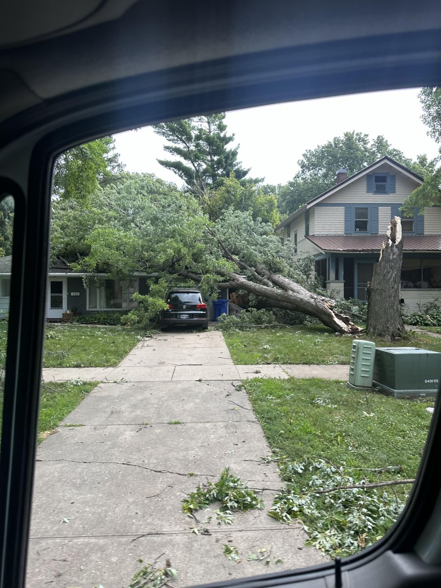 Photo of a large tree snapped and laying on a house in Vermillion, SD