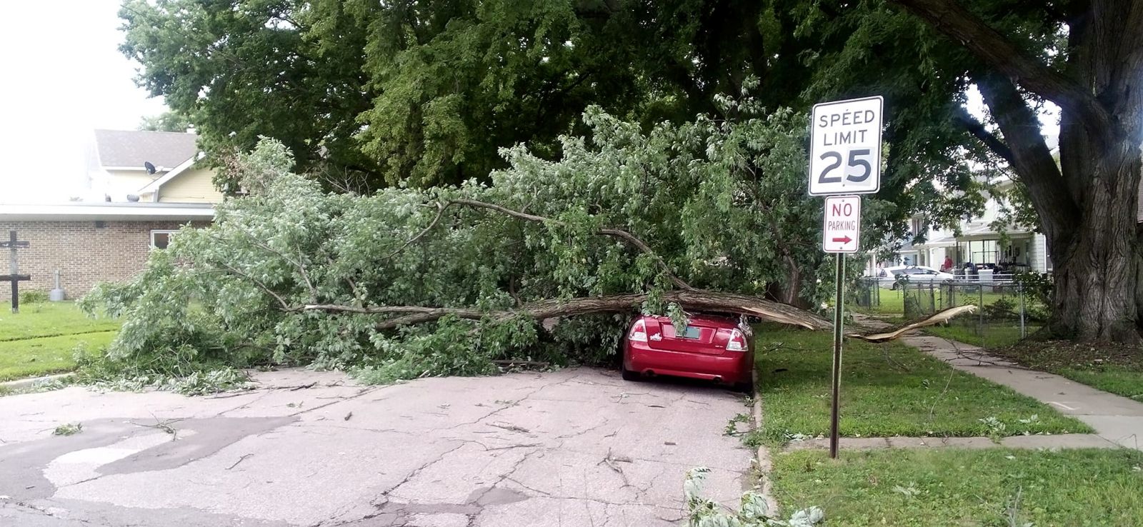 Photo of a large tree branch snapped and laying on a car and across the width of the street in Sioux City, Iowa