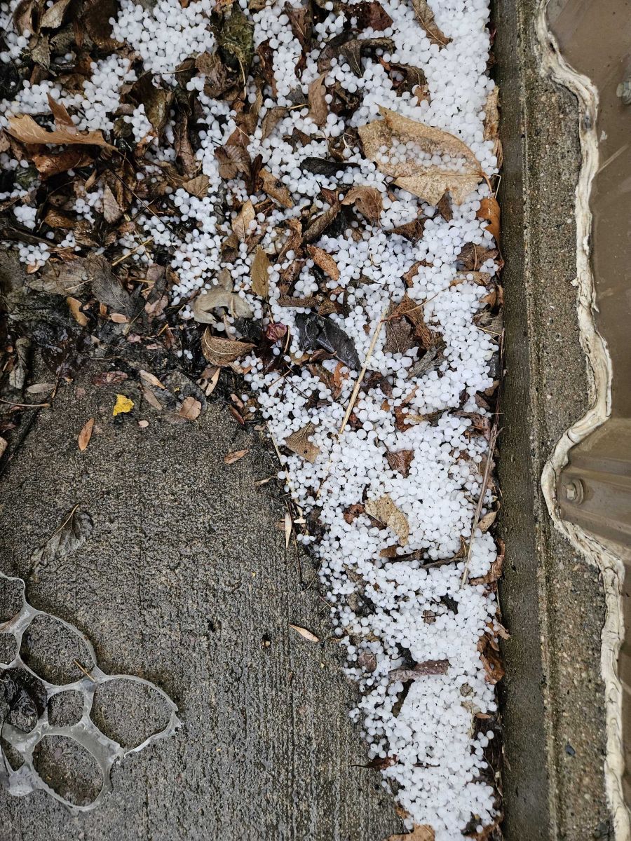 Photo of small hail or graupel from a brief thunderstorm in Yankton, SD on the morning of March 4th, 2025.