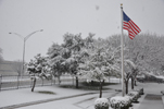 Picture of snow at the National Weather Service in Ft. Worth during the morning hours of February 11th, 2010.