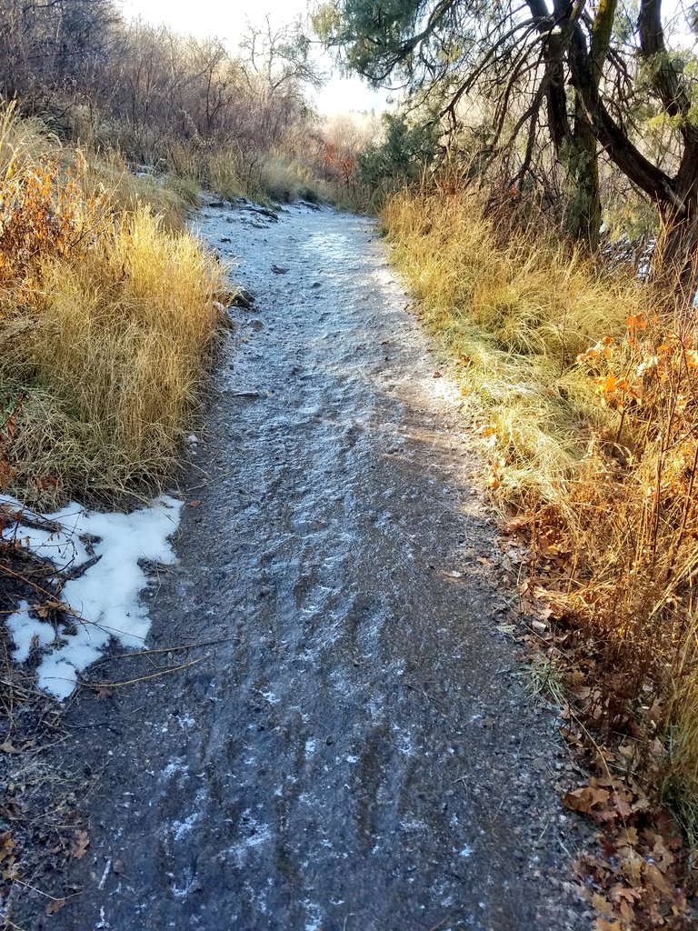 Frozen walking path from Freezing Rain