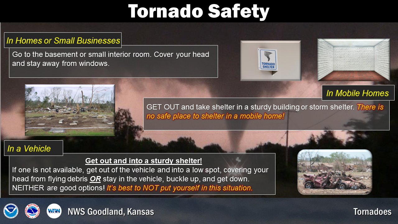 Pet Tornado Safety Tips – FACE Foundation Blog