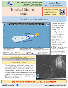 Thumbnail example of a one-page summary from Tropical Storm Olivia; click for a full-size PDF version