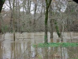 A view of Big Nance Creek in Courtland. Normally the creek has a very deep channel; but in flood, has turned into a very wide channel instead.