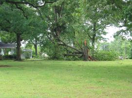 Storm Damage in Limestone County