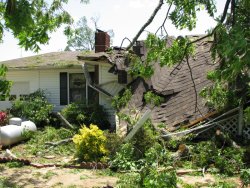 A tree fell on this home, causing considerable damage to the roof. Several other homes in the area experienced relatively minor structural damage.