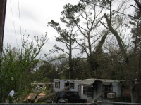 This mobile home was split in half by a large tree that fell on it.