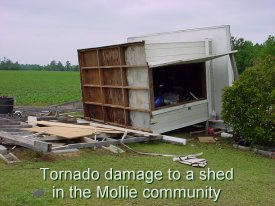 Tornado damage to a shed in the Mollie Community