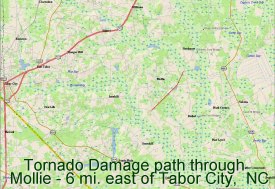 Tornado damage path through Mollie - 6 mi. east of Tabor City