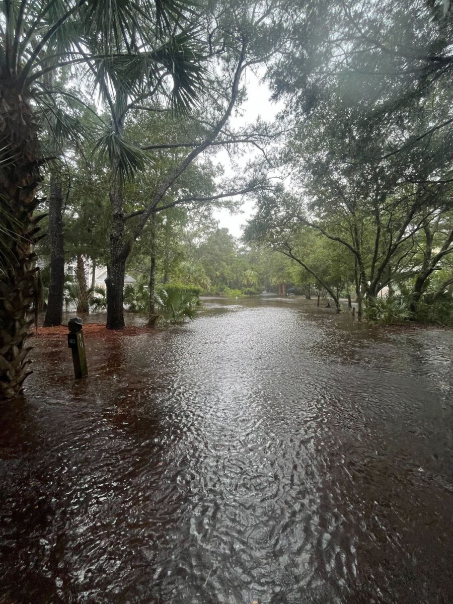 Flooding on Bald Head Island, NC.  Photo provided by Ethan Clark.