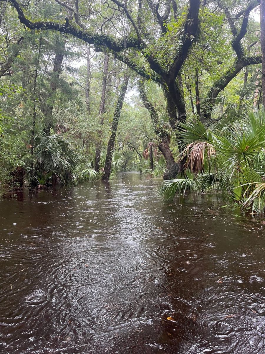 Flooding on Bald Head Island, NC.  Photo provided by Ethan Clark.