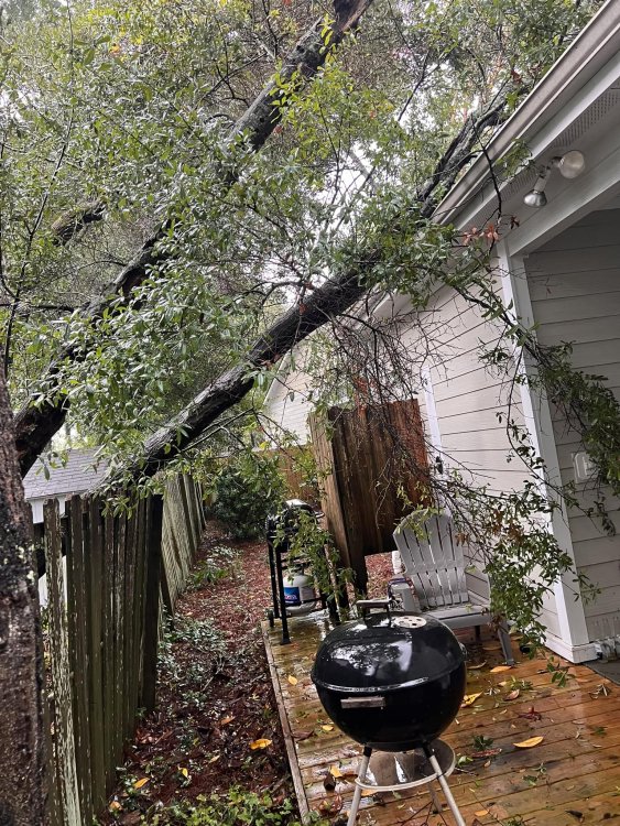 Tree blown down on a house in Carolina Beach, shared by Dorothy Pagan