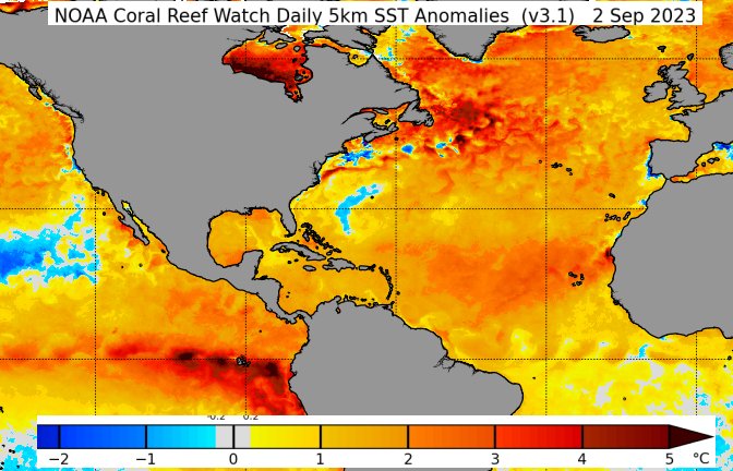 Sea Surface Temperature anomalies as of September 2, 2023.  Most of the North Atlantic Ocean has above normal temperatures