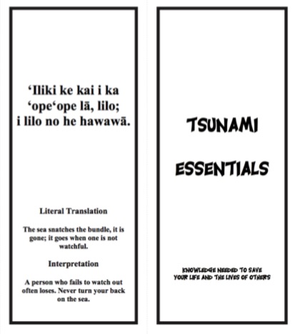 TsunamiEssentials thumbnail