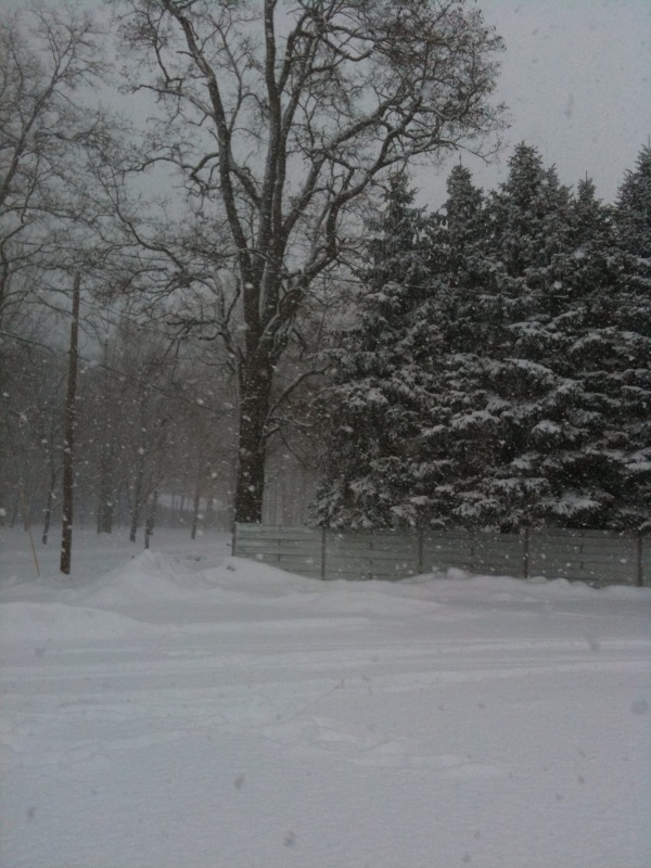 Snowfall picture from Constantine Michigan on afternoon of January 1st