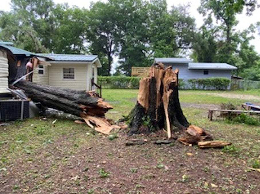 Tree down on Mobile Home, Lake City FL