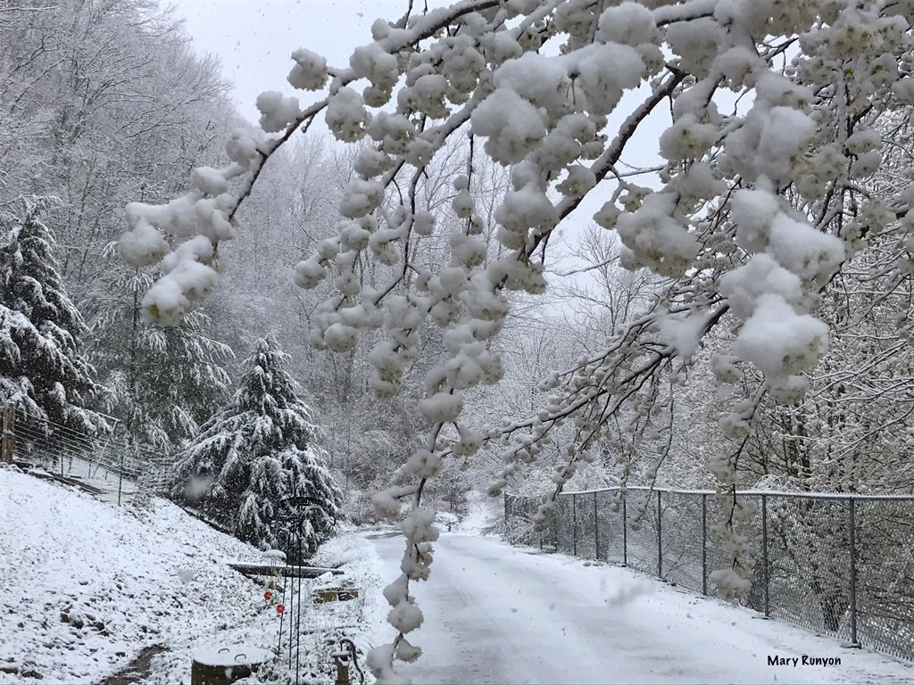 Heavy Snow in the Bluegrass and Big Sandy Regions photo