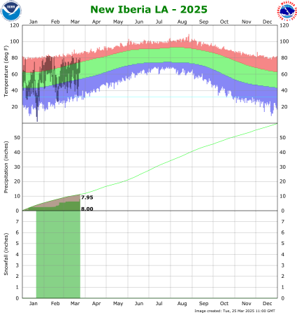 New Iberia temp/rain YTD image