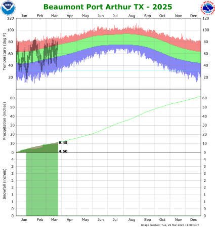 Beaumont/Port Arthur temp/rain YTD image