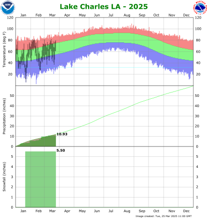 Lake Charles temp/rain YTD image