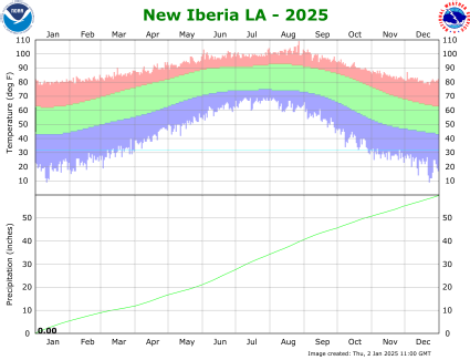 New Iberia temp/rain YTD image