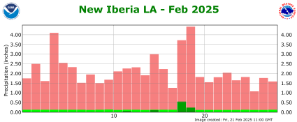 Precipitation plot for current month