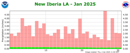 Precipitation plot for current month