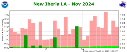 Precipitation plot for current month