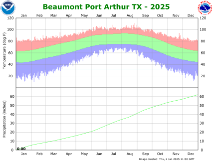 Beaumont/Port Arthur temp/rain YTD image