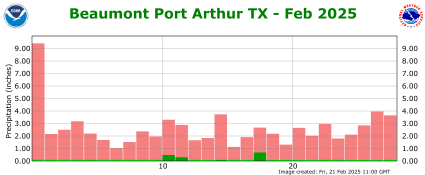 Precipitation plot for current month