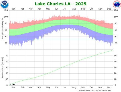 Lake Charles temp/rain YTD image