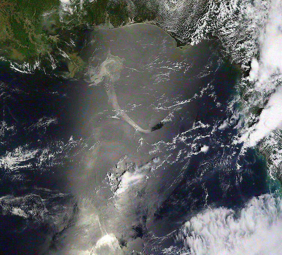 Latest
            NASA MODIS Imagery