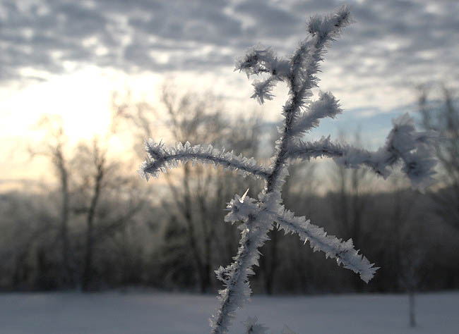 Frost February 17, 2015 Crawford County, Indiana